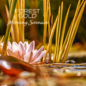 🔯黄🔯色🔯网🔯站🔯
